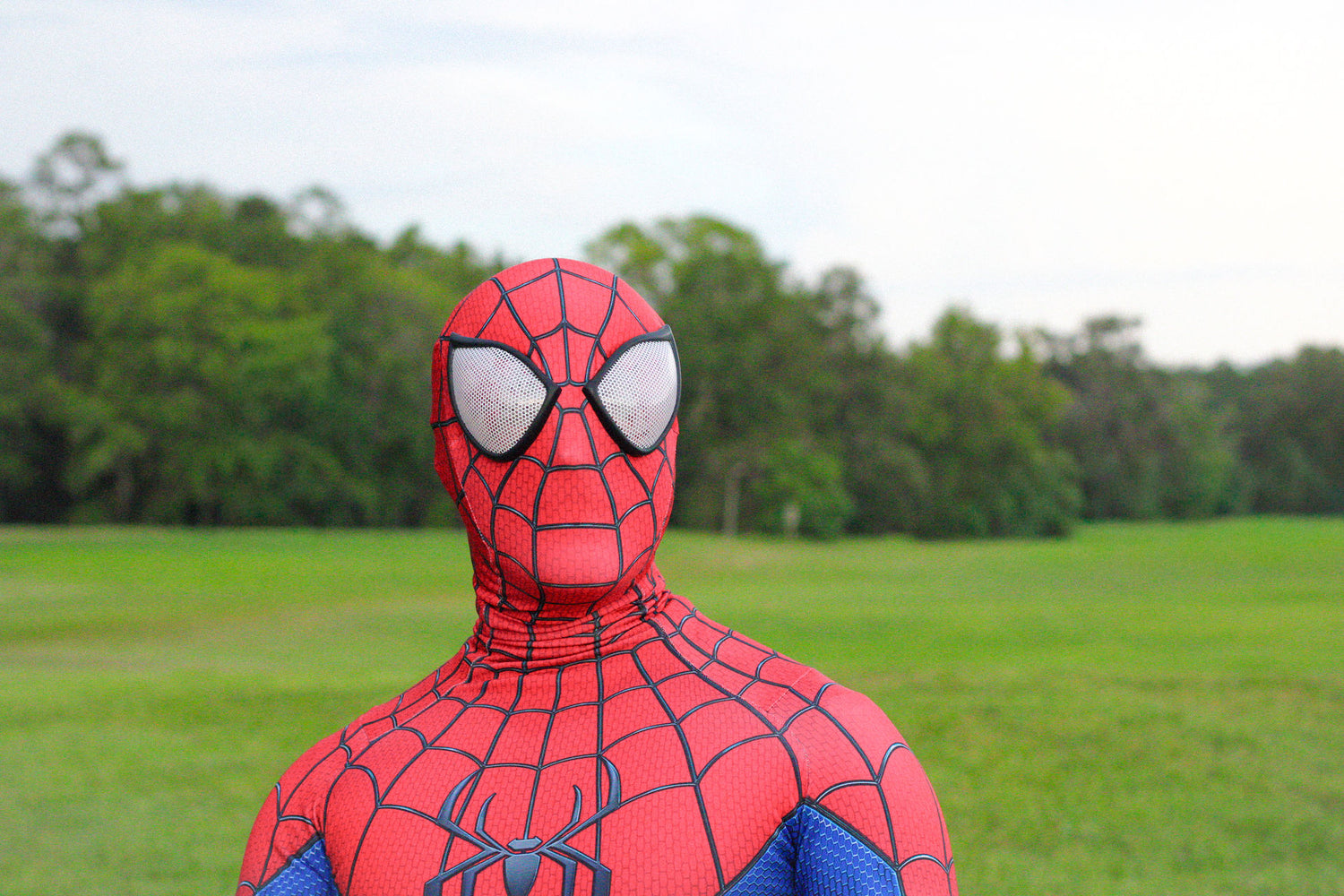 A person wearing a full-body Spider-Man costume stands outdoors in a grassy park with trees in the background. The costume is red with black web pattern and blue arm panels, plus large white eye shapes on the mask.