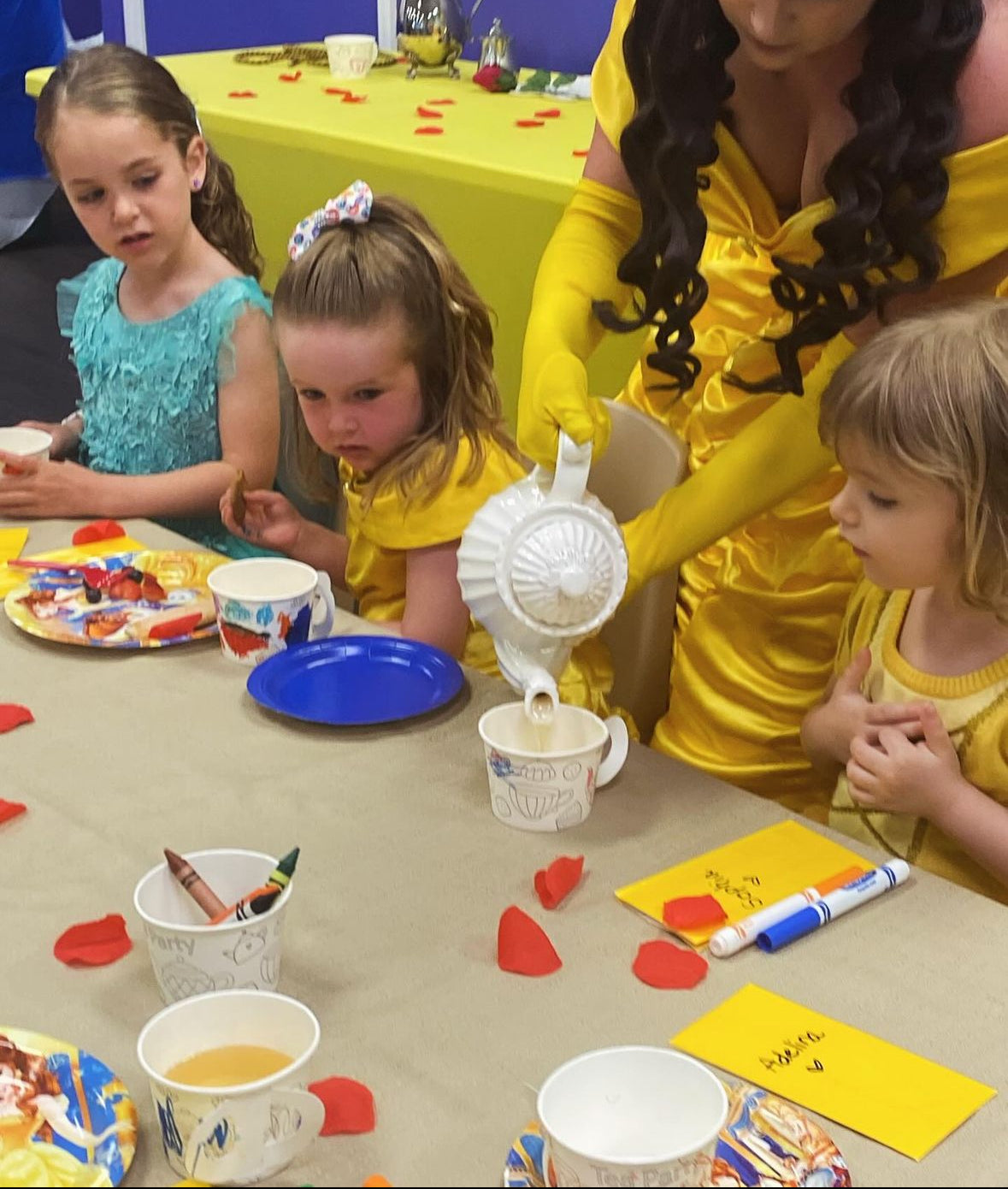 Tea-Party Experience