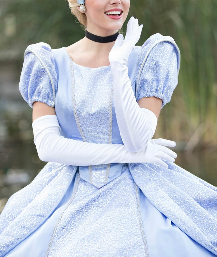 Glass-Slipper Princess