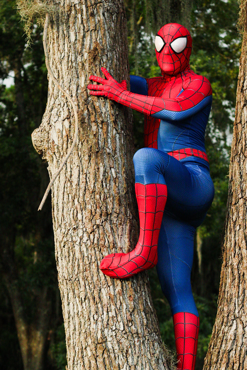 A person wearing a Spider-Man-style superhero costume is posed clinging to a large tree trunk outdoors, with blurred green foliage in the background.